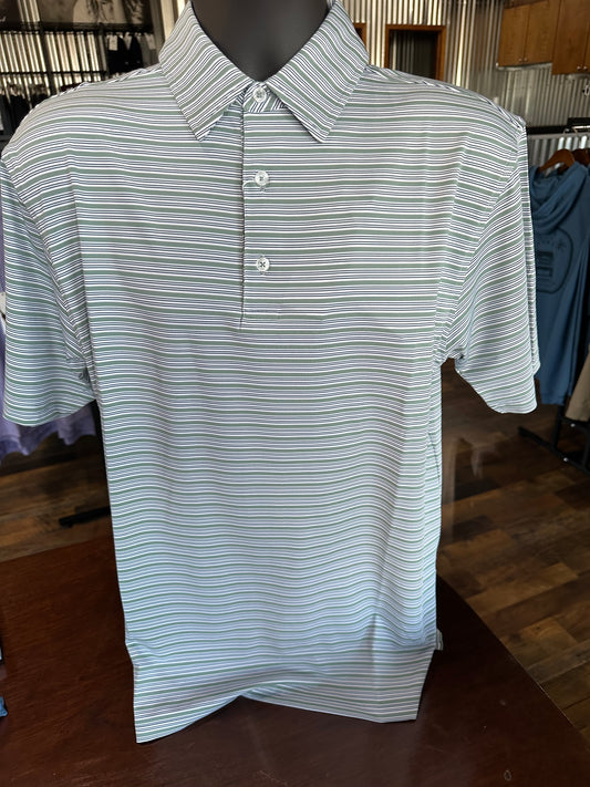 GT Polo